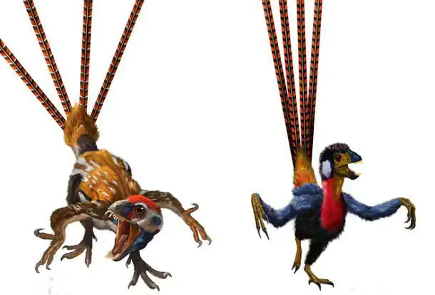 Picture 10 of What strange prehistoric creatures have humans discovered?