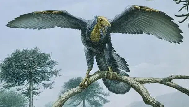 Picture 6 of What strange prehistoric creatures have humans discovered?