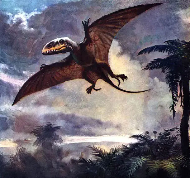 Picture 8 of What strange prehistoric creatures have humans discovered?