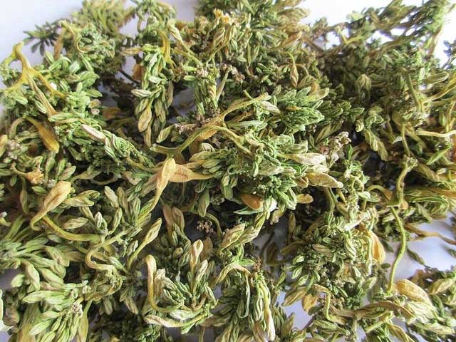 Picture 2 of What substance is in male papaya flowers that is rumored to 'kill cancer cells'?