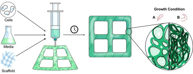 What was concrete and meat already? In the near future, wood can also be 3D printed Picture 2