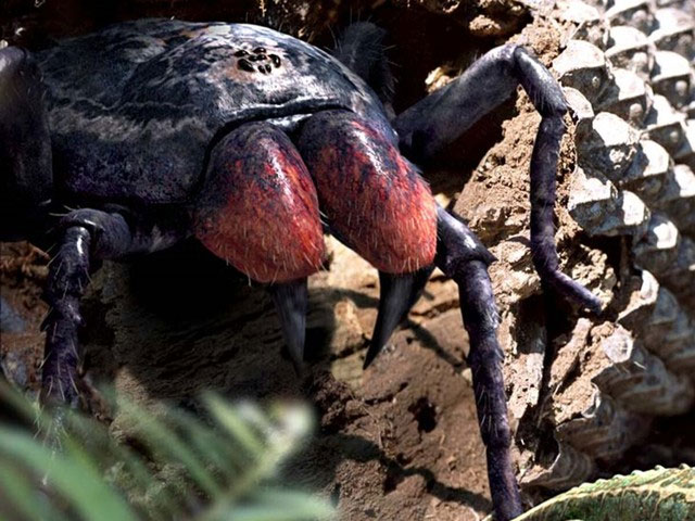 Picture 3 of What was Earth like in the age of giant insects?