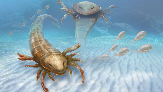 What would happen if a giant sea scorpion fought a killer whale? Picture 2