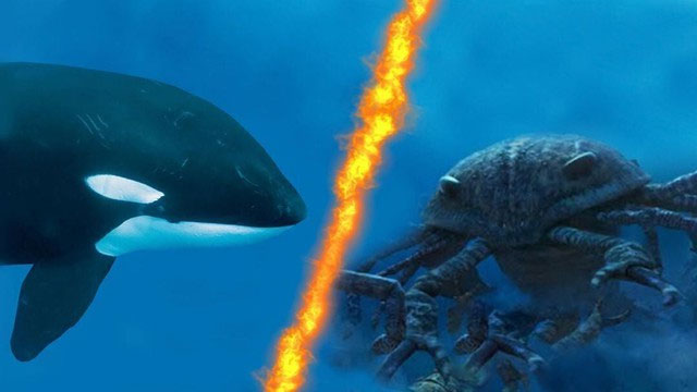 What would happen if a giant sea scorpion fought a killer whale? Picture 4