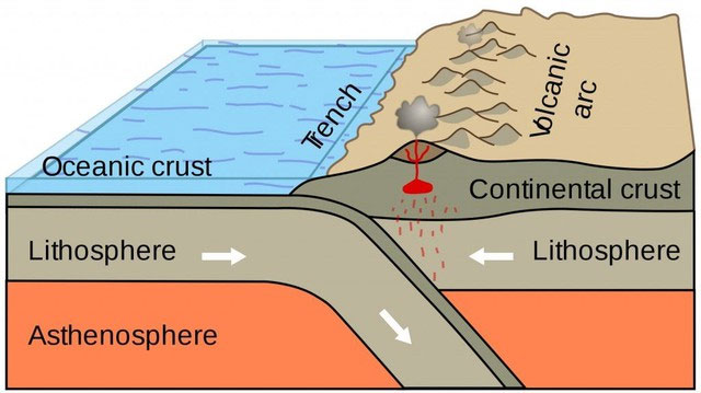 Picture 2 of What would happen if our oceans became freshwater?