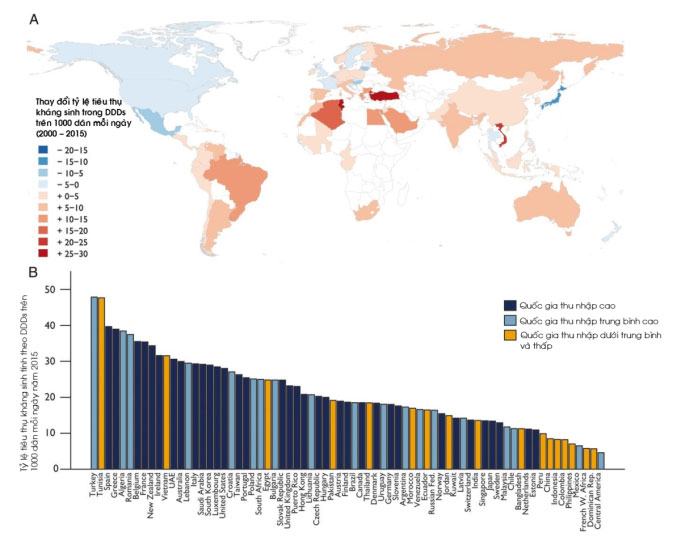 Picture 3 of What you need to know about antibiotic-associated diarrhea