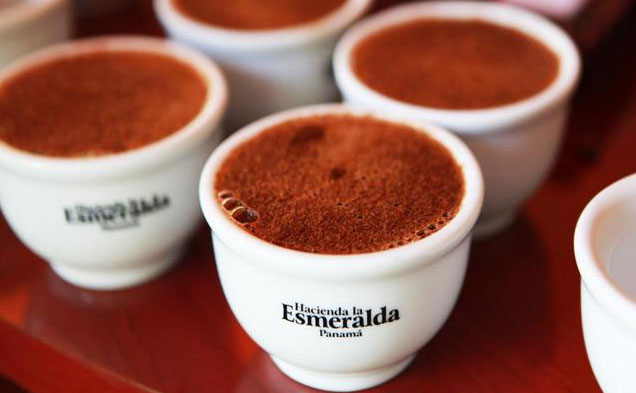 What's in the 8 most expensive coffees in the world, costing up to 100 USD/cup? Picture 5