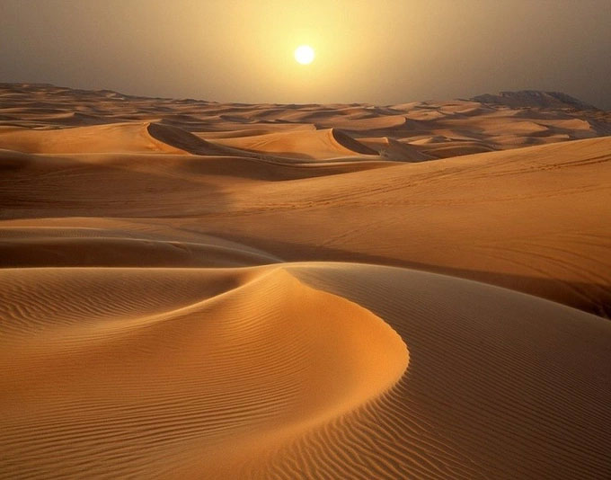 Picture 1 of What's under the desert sand?