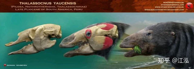 Picture 3 of When the ground was too boring, this 'monster' began to learn the ancestors of whales and went to the sea to live.