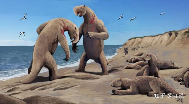 Picture 5 of When the ground was too boring, this 'monster' began to learn the ancestors of whales and went to the sea to live.