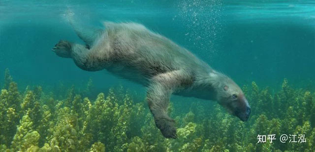Picture 6 of When the ground was too boring, this 'monster' began to learn the ancestors of whales and went to the sea to live.