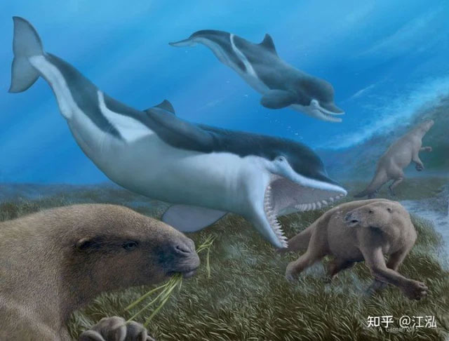 Picture 7 of When the ground was too boring, this 'monster' began to learn the ancestors of whales and went to the sea to live.