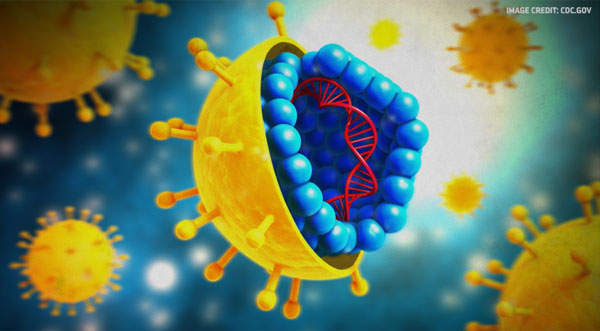 Picture 1 of Where do viruses come from and are they living things?