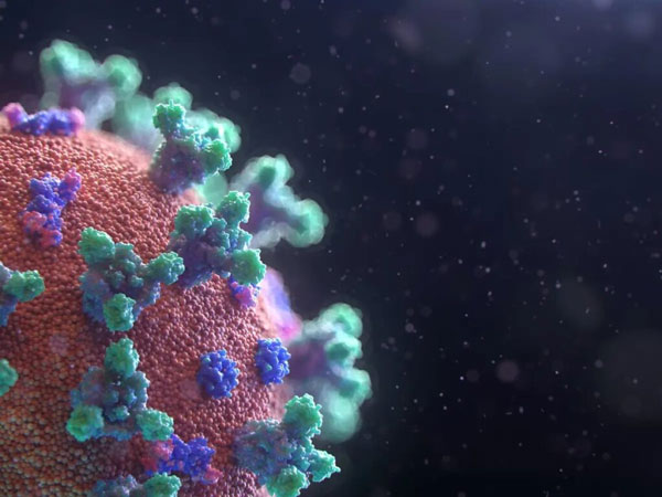 Picture 10 of Where do viruses come from and are they living things?