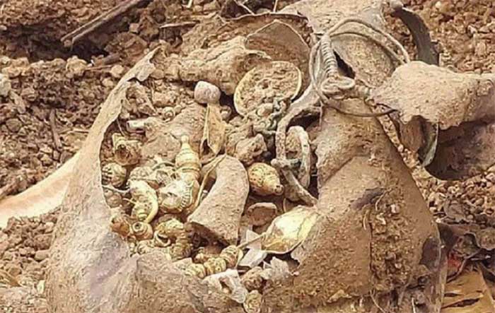 Picture 1 of While digging the ground to build a house, a group of construction workers stumbled upon a treasure trove worth billions of Vietnamese dong.