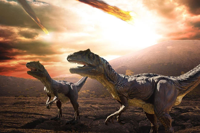 Picture 1 of Why did birds survive when meteorites wiped out dinosaurs?