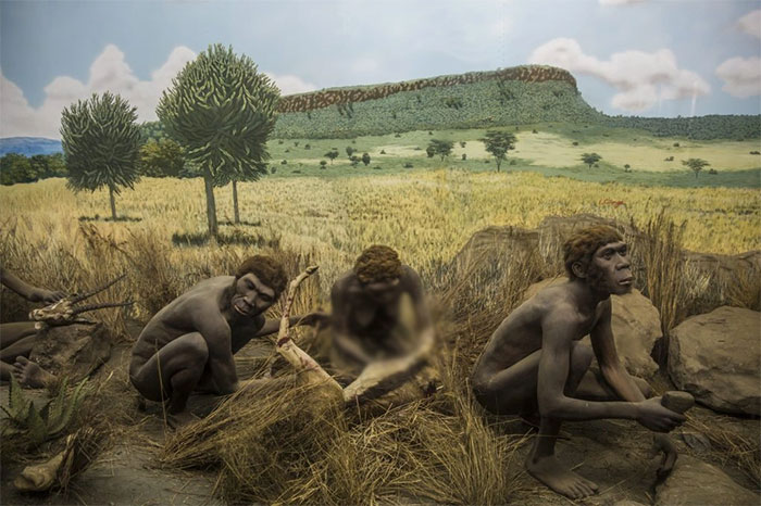 Picture 3 of Why did prehistoric people disappear and modern people developed until today?