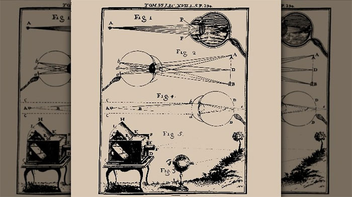 Picture 2 of Why did scientists once think that the retina of the dead is the place to store memories?