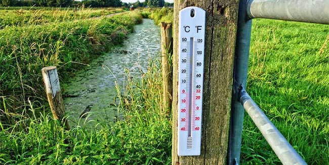 Why do Americans use Fahrenheit instead of Celsius? Picture 1