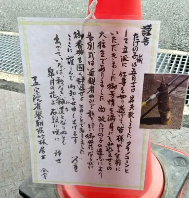 Why do the Japanese perform funeral rites for a bamboo shoot? Picture 1