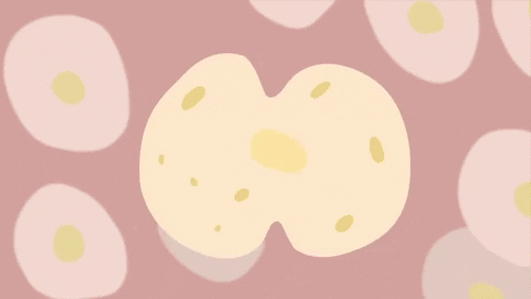 Picture 5 of Why do we get older when cells are always replicating?