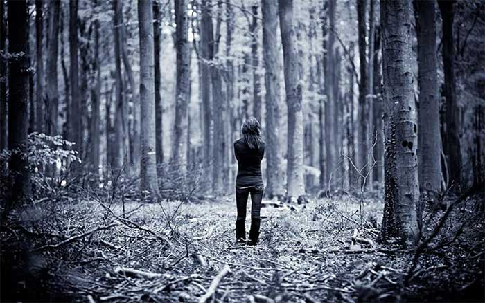Why do we hear someone calling our name when we enter the wilderness? Picture 2