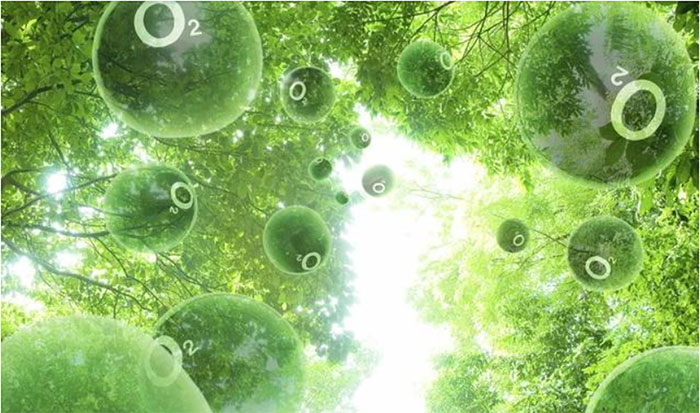 Picture 6 of Why does the amount of oxygen in the Earth's atmosphere need to maintain a level of 20.9%?