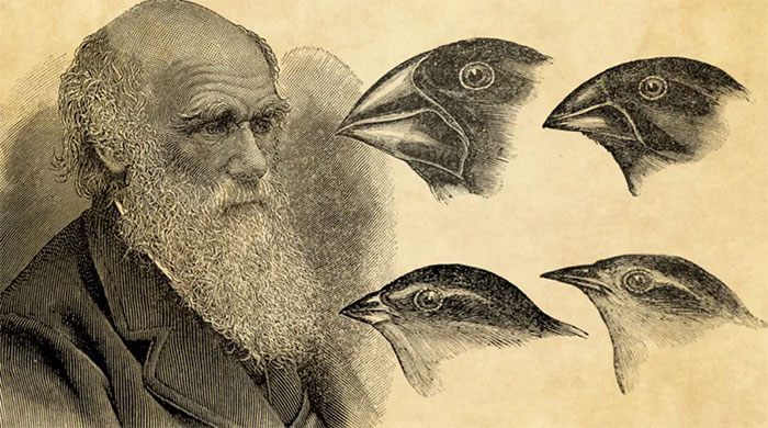 Picture 1 of Why India Removed Darwin's Theory of Evolution from Textbooks