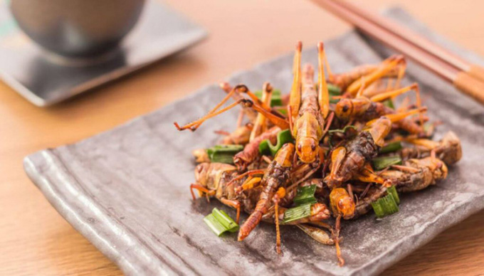 Picture 1 of Why insects could be the key to food security?