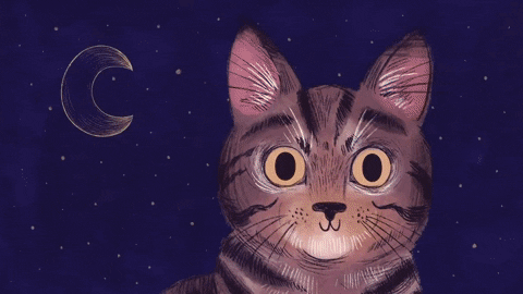 Why is the pupil of a cat vertical and the pupil of a goat horizontal? Picture 2