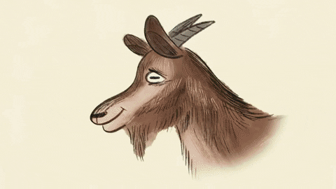 Why is the pupil of a cat vertical and the pupil of a goat horizontal? Picture 4