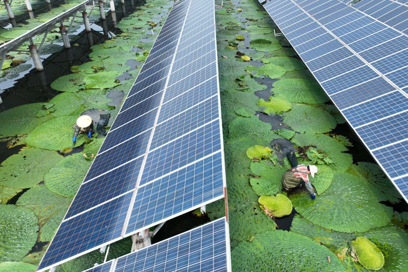 Picture 1 of Why solar energy is the only viable energy source in the long term