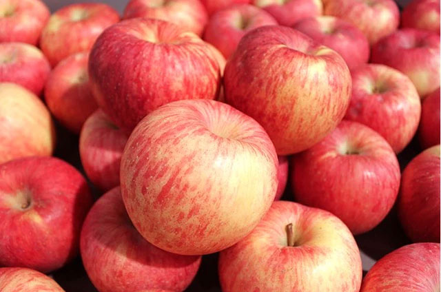 Picture 4 of Women eat an apple every morning on an empty stomach, 7 days later the body will feel a significant change