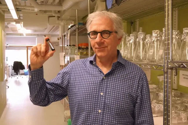 Picture 6 of World's first patient cured of diabetes thanks to miraculous stem cells