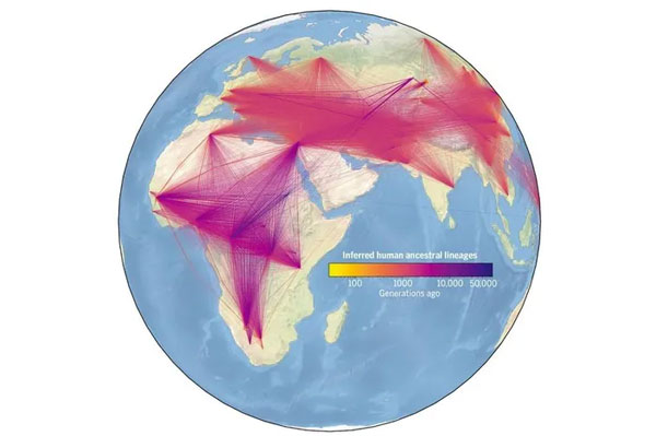 'World's largest family tree' connecting 27 million people reveals interesting things Picture 1