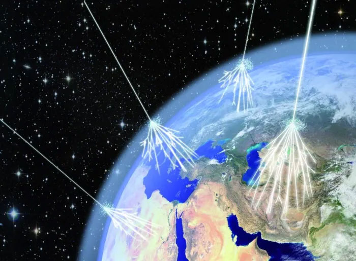 World's oldest trees reveal biggest solar storm in history Picture 5