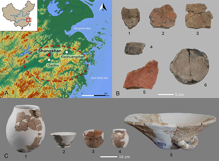 Picture 1 of World's oldest wine discovered in China