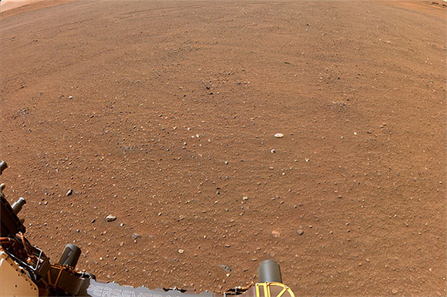 Worried about disease viruses from Mars invading Earth Picture 1