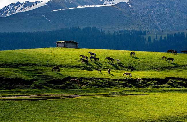 Picture 4 of Xinjiang - The Unincorporated Area in China