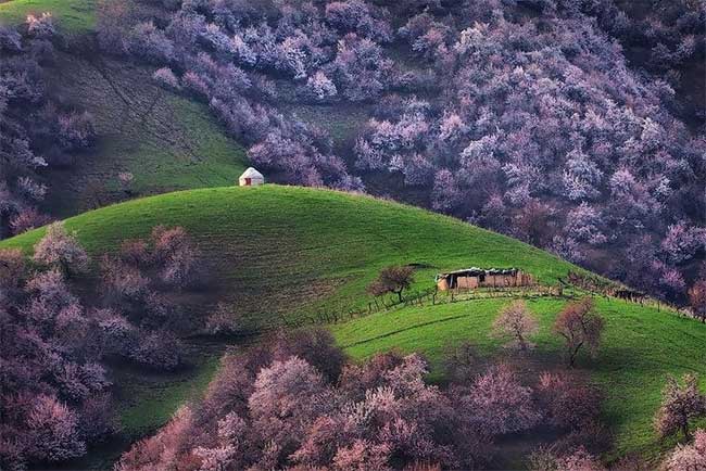 Picture 5 of Xinjiang - The Unincorporated Area in China