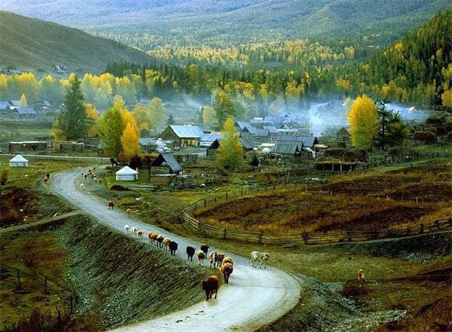 Picture 6 of Xinjiang - The Unincorporated Area in China
