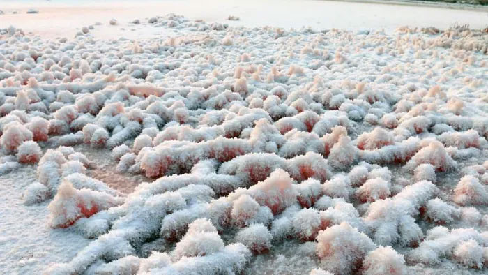 Yuncheng Salt Lake - China's brilliant 'Dead Sea' Picture 4