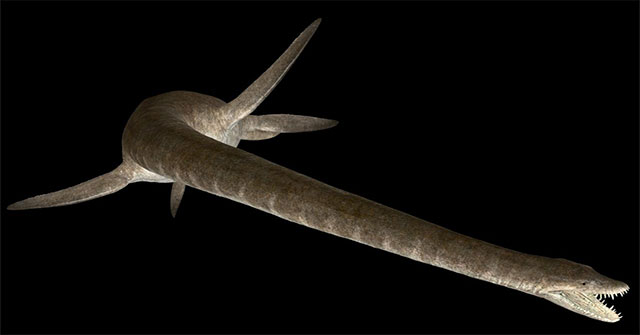 10m long, 100 million year old snake-headed monster appears in Australia
