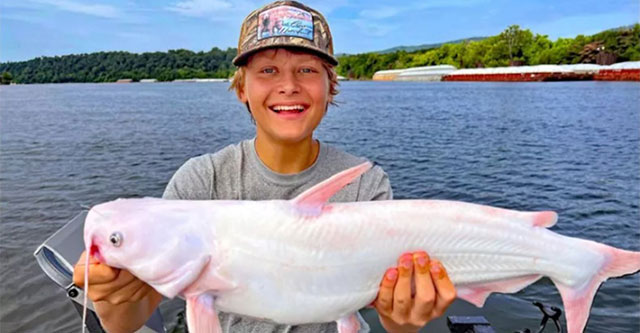 15-year-old boy catches rare white green catfish