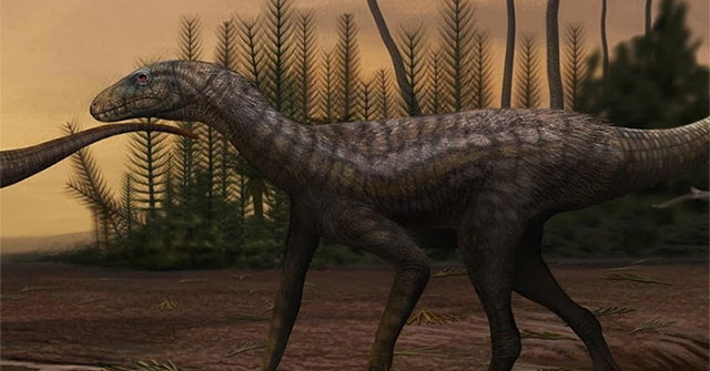 237 million year old strange creature revealed: Dinosaur impersonator?