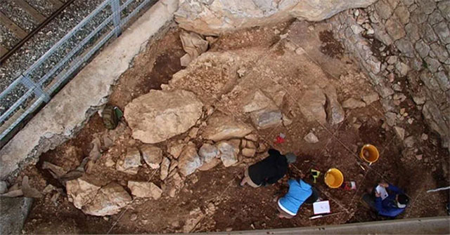 40,000 years ago, other species arranged their homes like modern humans