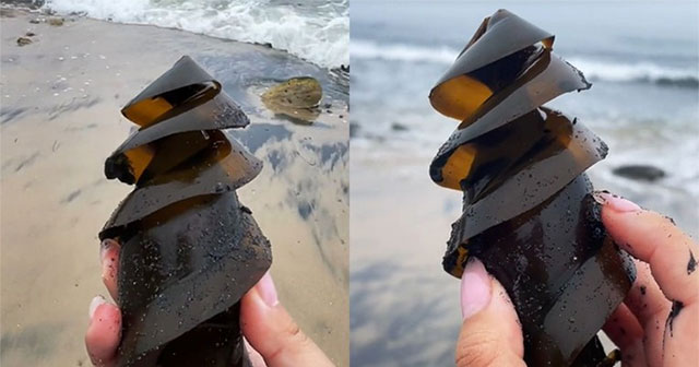 46 million people shocked to find out what this is on the beach