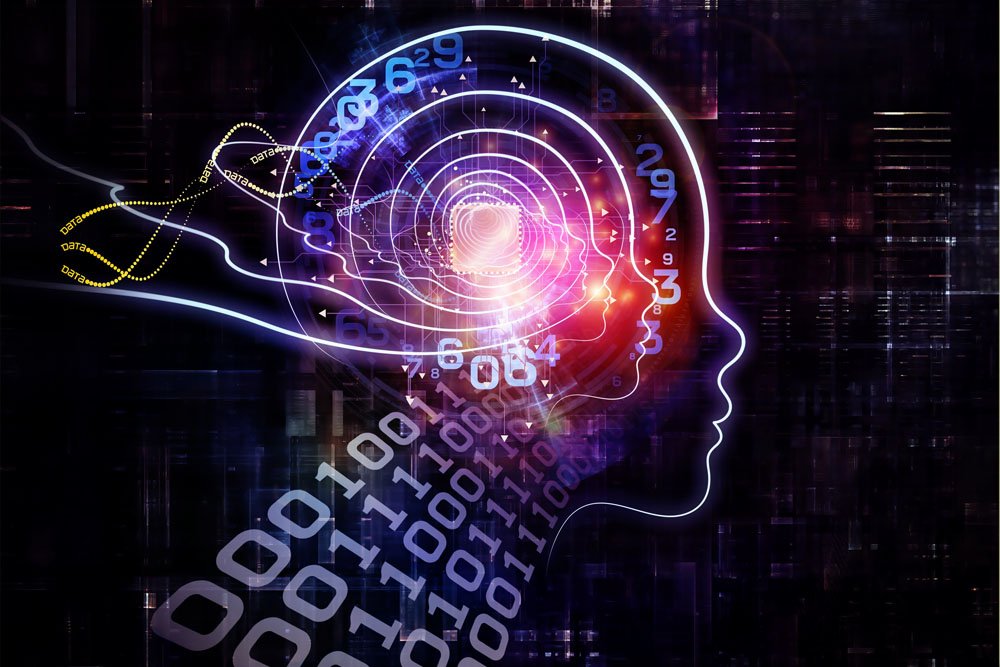 A 'brainless' talent with an IQ of 126, where does this intelligence come from?