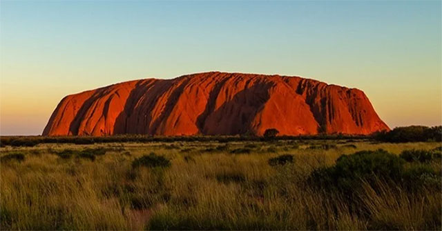 A completely new species discovered on Australia's 'sacred rock'