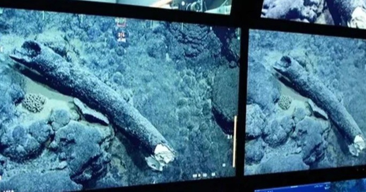 A hybrid creature between 2 beasts 'hiding' on the seabed for 200,000 years
